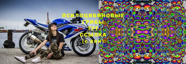 ешки Балахна