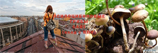 ешки Балахна