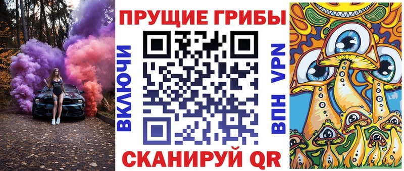 как найти закладки  Каспийск  ОМГ ОМГ ТОР  Псилоцибиновые грибы Cubensis 